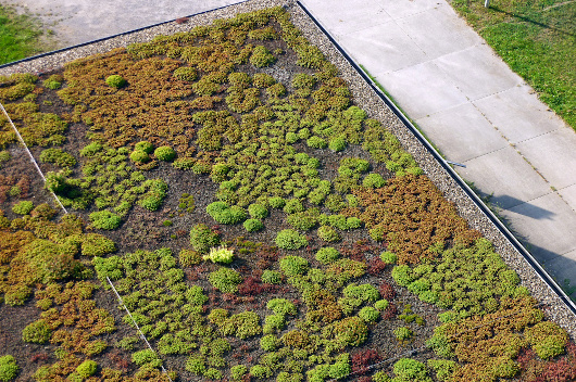 Dachbegrünung (Foto: Stadt Oberhausen)